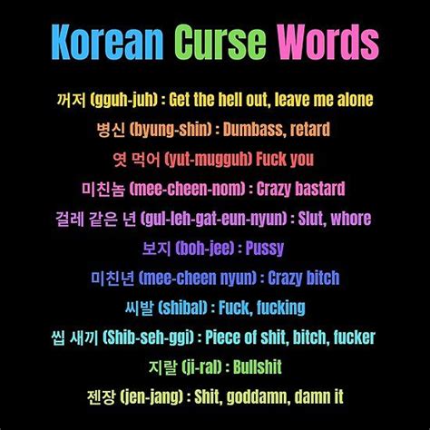 korean swear words|shibal korean to english.